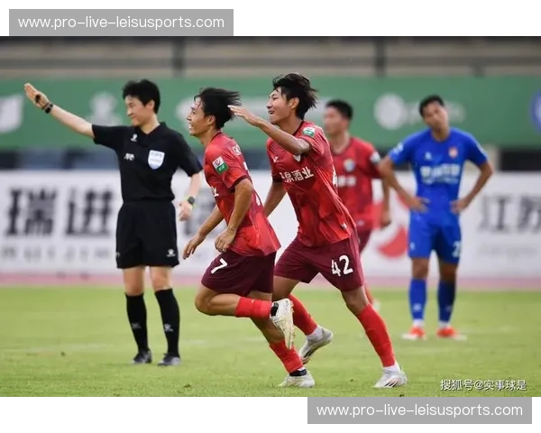 足协杯赛季数据：赛场背后的精彩与挑战