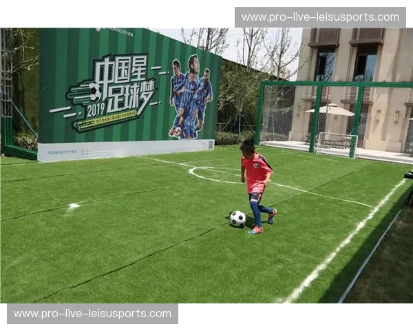 烽火再燃！苏宁vs延边，一场关乎荣誉与梦想的激情碰撞